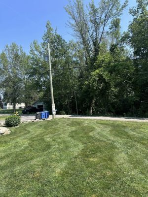 Les Gazons LG - Entretien paysager